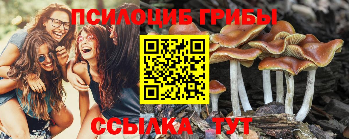 Псилоцибиновые грибы GOLDEN TEACHER  Псилоцибиновые грибы MAGIC MUSHROOMS  Апрелевка  Вход с VPN 