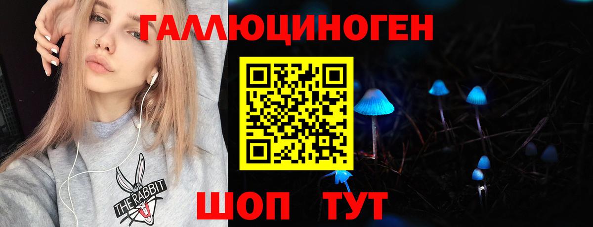 Галлюциногенные грибы Cubensis Апрелевка